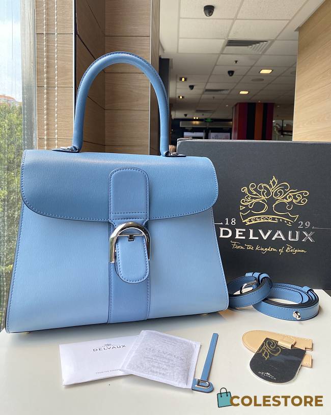 	 Colestore Delvauz Brillant Box Blue 28*13.5*22.5 - 1