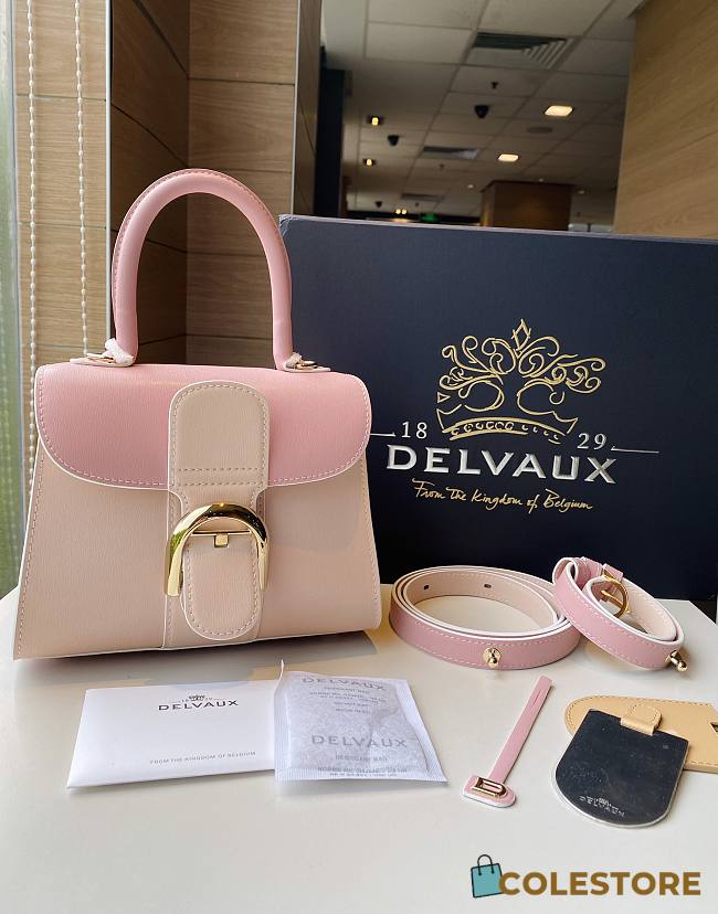 Colestore Delvauz Brillant Box Pink 20*12*15cm - 1