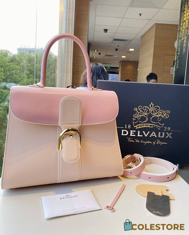 	 Colestore Delvauz Brillant Box Pink 28*13.5*22.5cm - 1