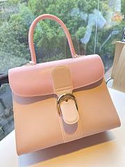	 Colestore Delvauz Brillant Box Pink 28*13.5*22.5cm - 5