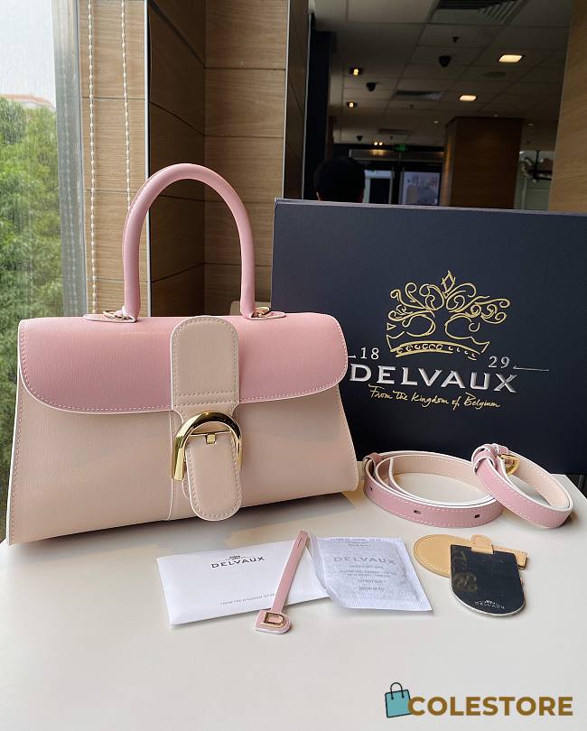 	 Colestore Delvauz Brillant Box Pink 28x12x16cm - 1