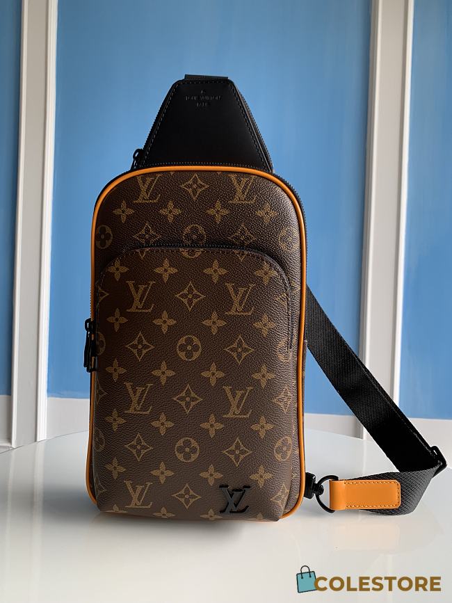Colestore Louis Vuitton Avenue Slingbag NM M46718 20 x 31 x 7 - 1