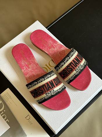	 Colestore Dior Slipper Pink 01