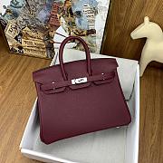 	 Colestore Hermes Birkin 25cm Togo Wine - 4