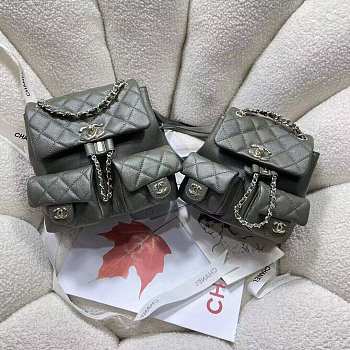 Colestore Chanel Grey Backpack