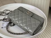 Colestore Chanel Classic Flap Bag Grey Silver Hardware Size 20cm - 4