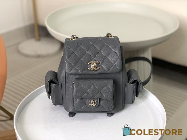 Colestore Chanel Duma Backpack Grey - 1