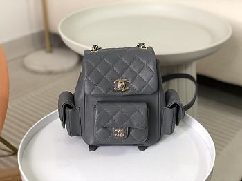 Colestore Chanel Duma Backpack Grey