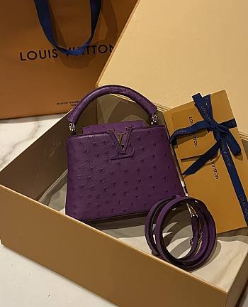 Colestore Louis Vuitton N94230 Mini Ostrich Capucines 