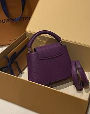 Colestore Louis Vuitton N94230 Mini Ostrich Capucines  - 2