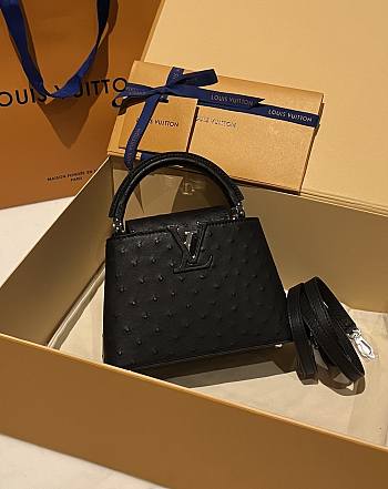 	 Colestore Louis Vuitton N94230 Mini Ostrich Capucines Black