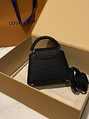 	 Colestore Louis Vuitton N94230 Mini Ostrich Capucines Black - 4