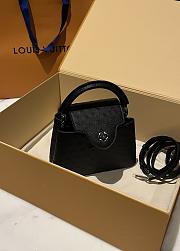 	 Colestore Louis Vuitton N94230 Mini Ostrich Capucines Black - 3