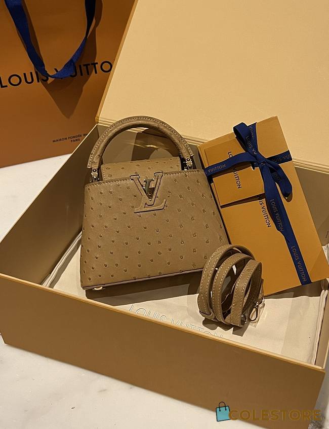 	 Colestore Louis Vuitton N94230 Mini Ostrich Capucines Brown  - 1