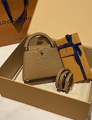 	 Colestore Louis Vuitton N94230 Mini Ostrich Capucines Brown  - 1