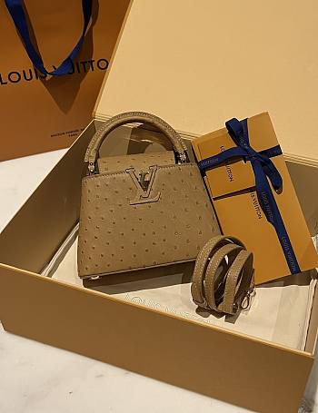 	 Colestore Louis Vuitton N94230 Mini Ostrich Capucines Brown 