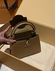 	 Colestore Louis Vuitton N94230 Mini Ostrich Capucines Brown  - 6