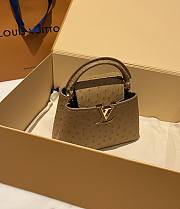	 Colestore Louis Vuitton N94230 Mini Ostrich Capucines Brown  - 5