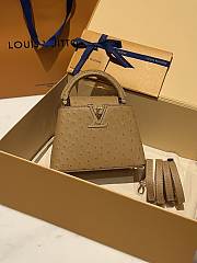 	 Colestore Louis Vuitton N94230 Mini Ostrich Capucines Brown  - 3
