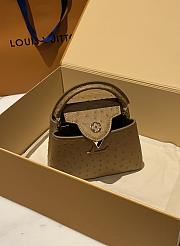 	 Colestore Louis Vuitton N94230 Mini Ostrich Capucines Brown  - 2