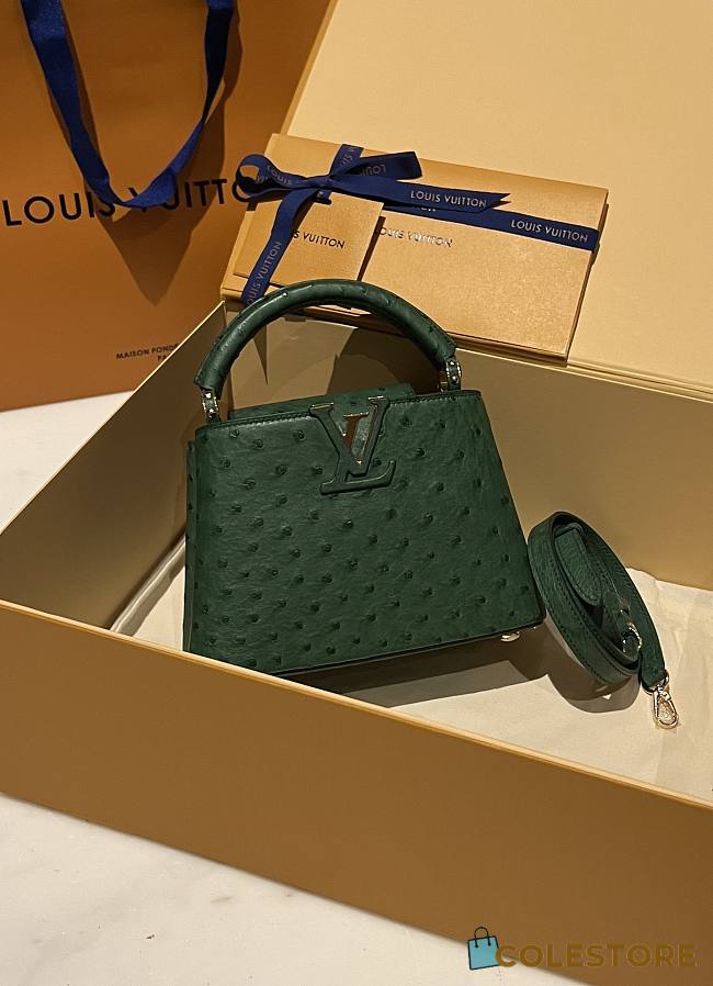 	 Colestore Louis Vuitton N94230 Mini Ostrich Capucines Green - 1