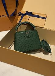 	 Colestore Louis Vuitton N94230 Mini Ostrich Capucines Green - 1