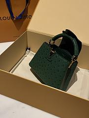 	 Colestore Louis Vuitton N94230 Mini Ostrich Capucines Green - 5