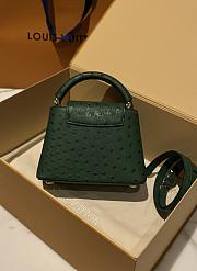 	 Colestore Louis Vuitton N94230 Mini Ostrich Capucines Green - 4