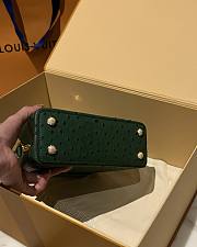 	 Colestore Louis Vuitton N94230 Mini Ostrich Capucines Green - 3