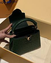 	 Colestore Louis Vuitton N94230 Mini Ostrich Capucines Green - 2