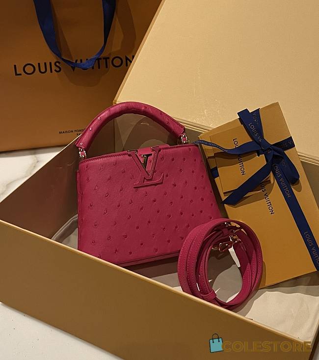 	 Colestore Louis Vuitton N94230 Mini Ostrich Capucines Pink - 1