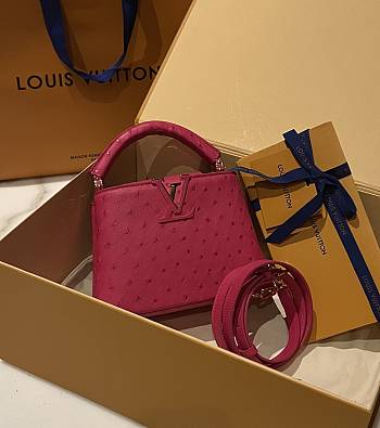 	 Colestore Louis Vuitton N94230 Mini Ostrich Capucines Pink