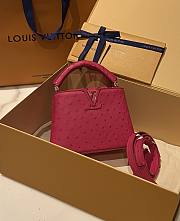 	 Colestore Louis Vuitton N94230 Mini Ostrich Capucines Pink - 6