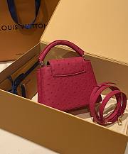 	 Colestore Louis Vuitton N94230 Mini Ostrich Capucines Pink - 2