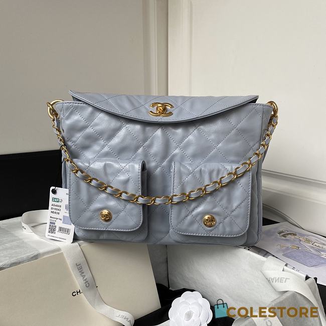 	 Colestore Chanel Hobo Calfskin Grey 21.5×30×5cm - 1