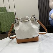 Colestore Small Shoulder Bag With Gucci Print - 4