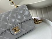 	 Colestore Chanel 23s Mini Grey Size 20x13x5cm - 4
