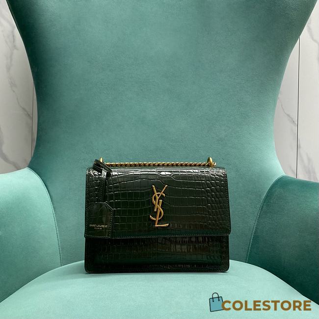 	 Colestore YSL Sunset Pink Hardware Green Size 22x9x16 - 1