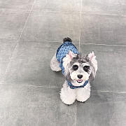 	 Colestore GG Clothes For Pet - 3