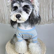 	 Colestore Prada Clothes For Pet 02 - 3