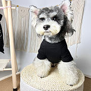 	 Colestore Versace Clothes For Pet  - 4