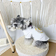 	 Colestore Versace Clothes For Pet  - 3