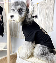 	 Colestore Versace Clothes For Pet  - 2