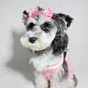 	 Colestore Chanel Clothes For Pet - 3