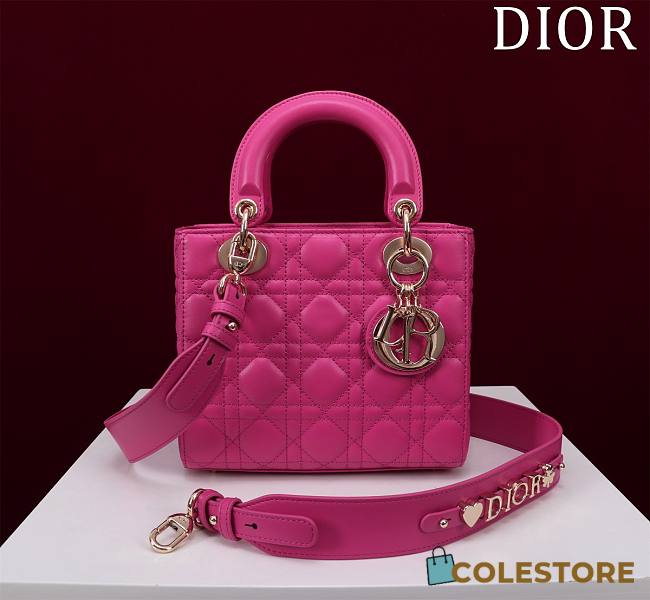 Colestote Dior Lady Medium Pink Size 20*16*8cm - 1