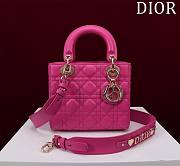 Colestote Dior Lady Medium Pink Size 20*16*8cm - 1