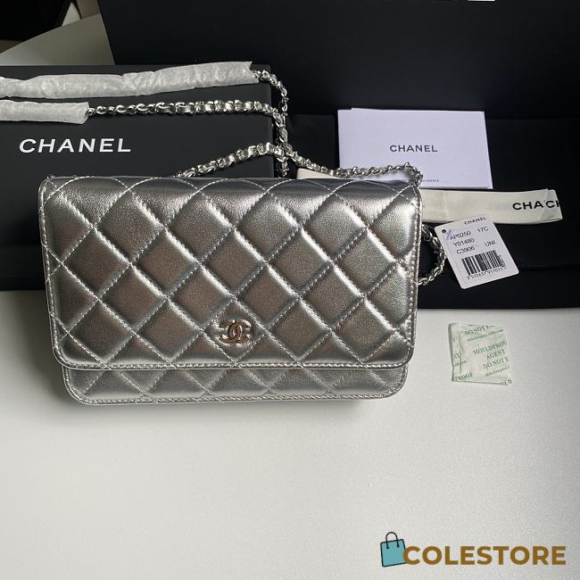 Colestore Chanel 21SS Woc Chain Bag Silver 19.5x12x3.5cm - 1