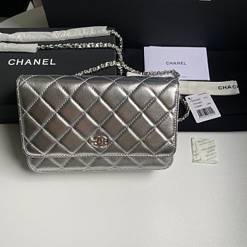 Colestore Chanel 21SS Woc Chain Bag Silver 19.5x12x3.5cm