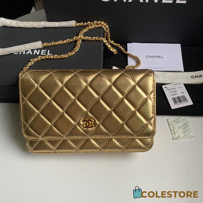 Colestore Chanel 21SS Woc Chain Bag Gold 19.5x12x3.5cm - 1