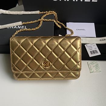 Colestore Chanel 21SS Woc Chain Bag Gold 19.5x12x3.5cm
